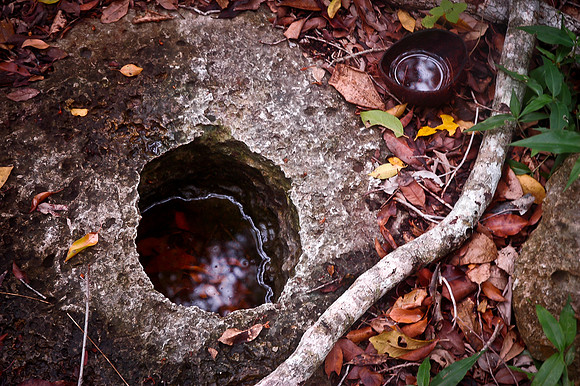 water holes, Totina