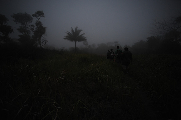 Evening at Mt. Manukoko