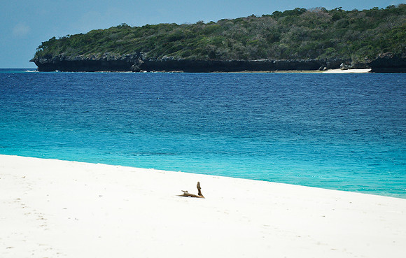 Totina - Jaco island