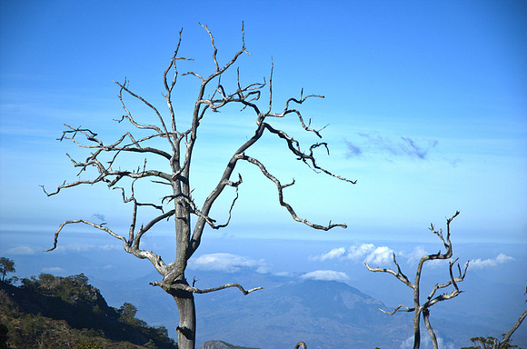 Mt. Ramelau