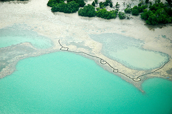 Ulmera from above