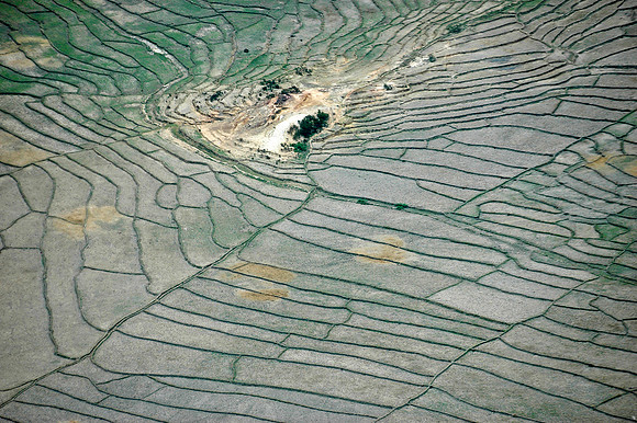 Rice field, Seisal