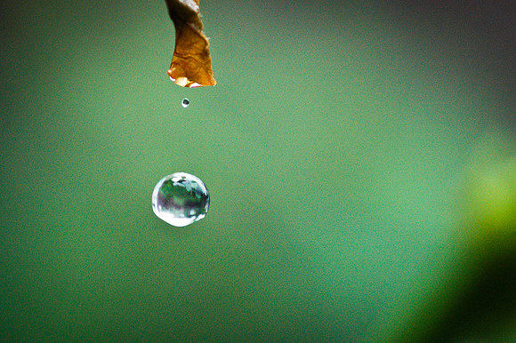 Mornin dew