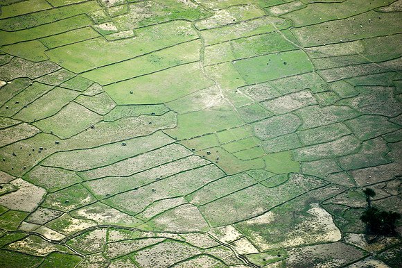 Rice field, Seisal