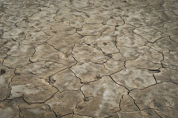 Dry land, Beto tasi