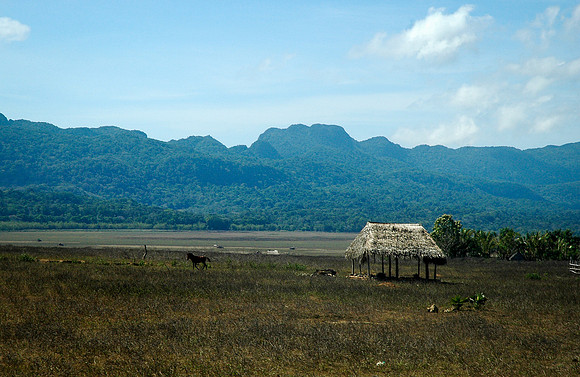 Mehara
