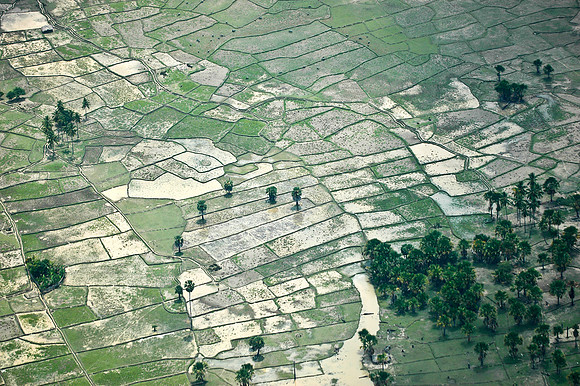 Rice field, Seisal