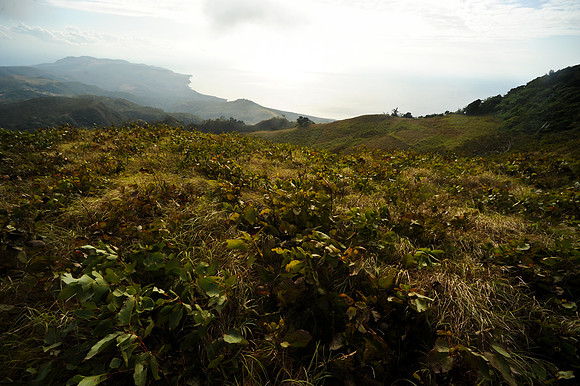 Mt. Manukoko